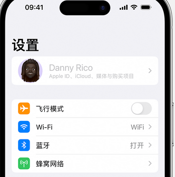 诏安appleID维修服务iPhone设置中Apple ID显示为灰色无法使用 