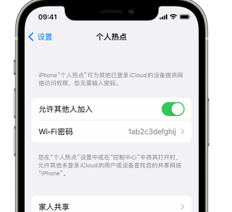 诏安apple服务站点分享iPhone上个人热点丢失了怎么办 