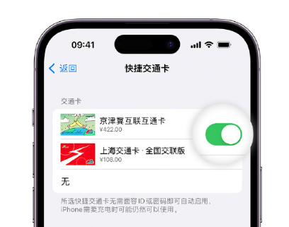 诏安apple维修点分享iPhone上更换Apple Pay快捷交通卡手绘卡面 