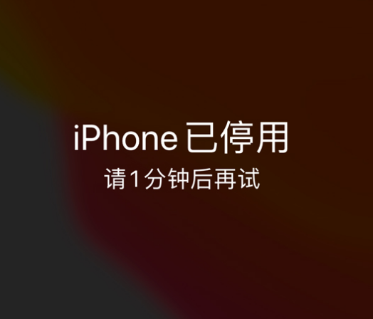 诏安苹果手机维修分享:iPhone 显示“不可用”或“已停用”怎么办？还能保留数据吗？ 