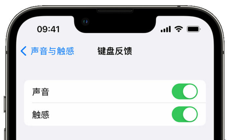 诏安苹果手机维修分享iPhone 14触感键盘使用方法 