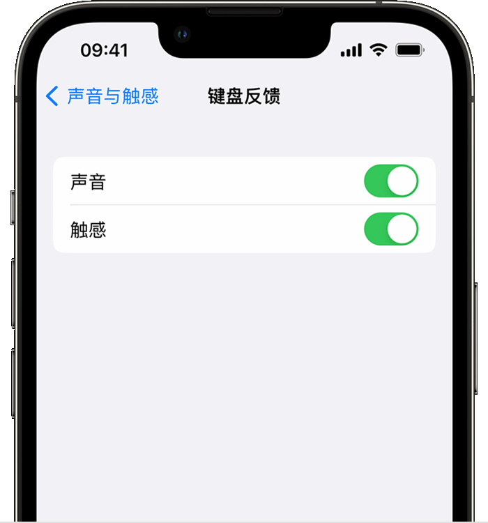 诏安苹果14维修店分享如何在 iPhone 14 机型中使用触感键盘 