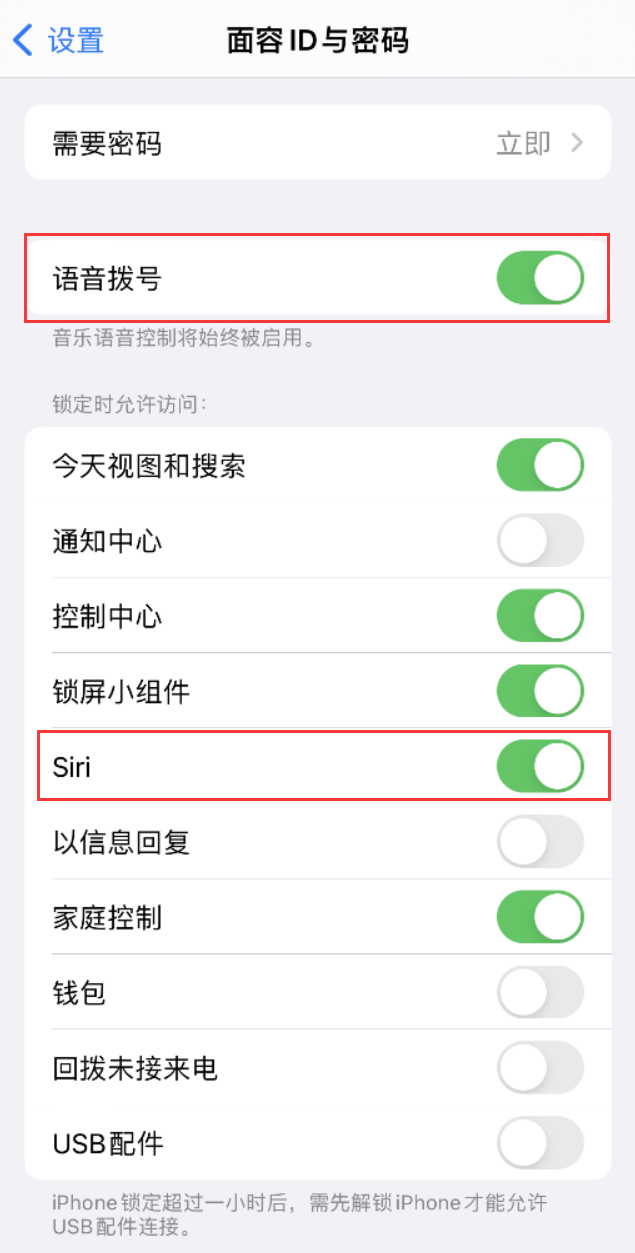 诏安苹果维修网点分享不解锁 iPhone 的情况下通过 Siri 拨打电话的方法 