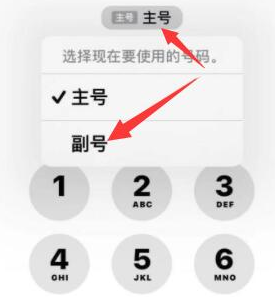 诏安苹果14维修店分享iPhone 14 Pro Max使用副卡打电话的方法 