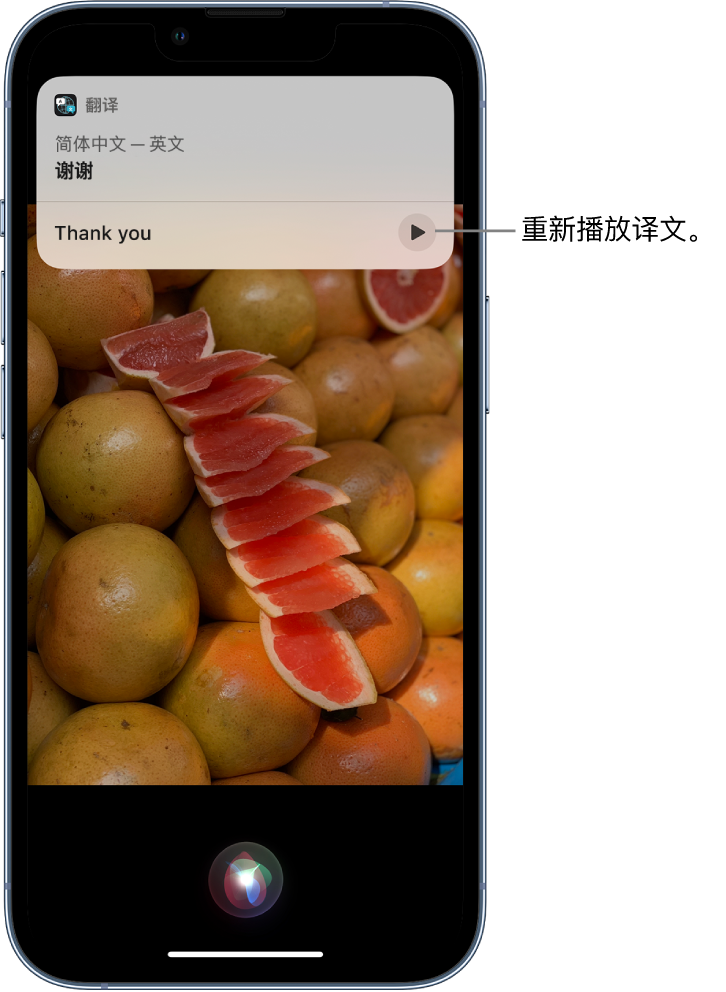 诏安苹果14维修分享 iPhone 14 机型中使用 Siri：了解 Siri 能帮你做什么 