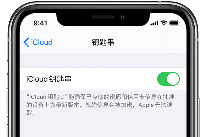 诏安苹果手机维修分享在 iPhone 上开启 iCloud 钥匙串之后会储存哪些信息 