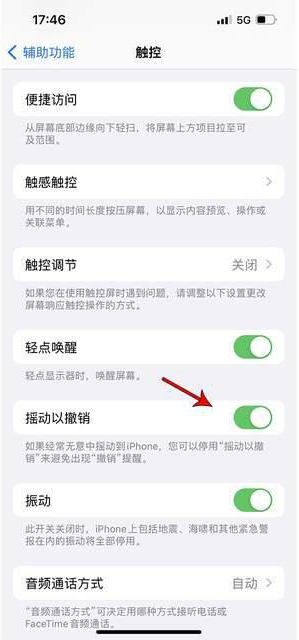 诏安苹果手机维修分享iPhone手机如何设置摇一摇删除文字 