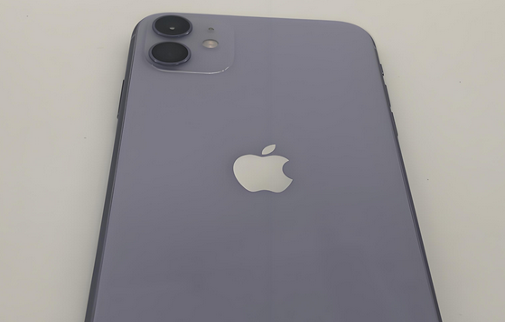 诏安苹果11系统维修分享iPhone11手机系统崩溃无法开机如何解决 